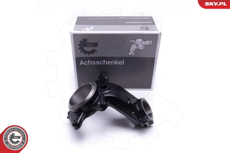 Steering Knuckle, wheel suspension